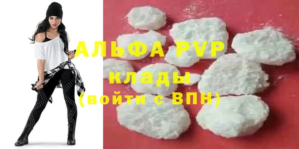 прущие грибы Белокуриха